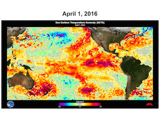 El Niño sea surface temperature anomalies