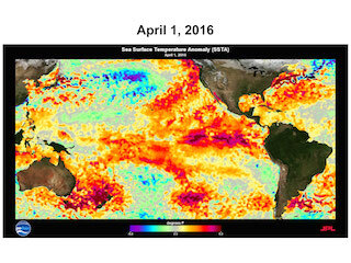 El Niño sea surface temperature anomalies