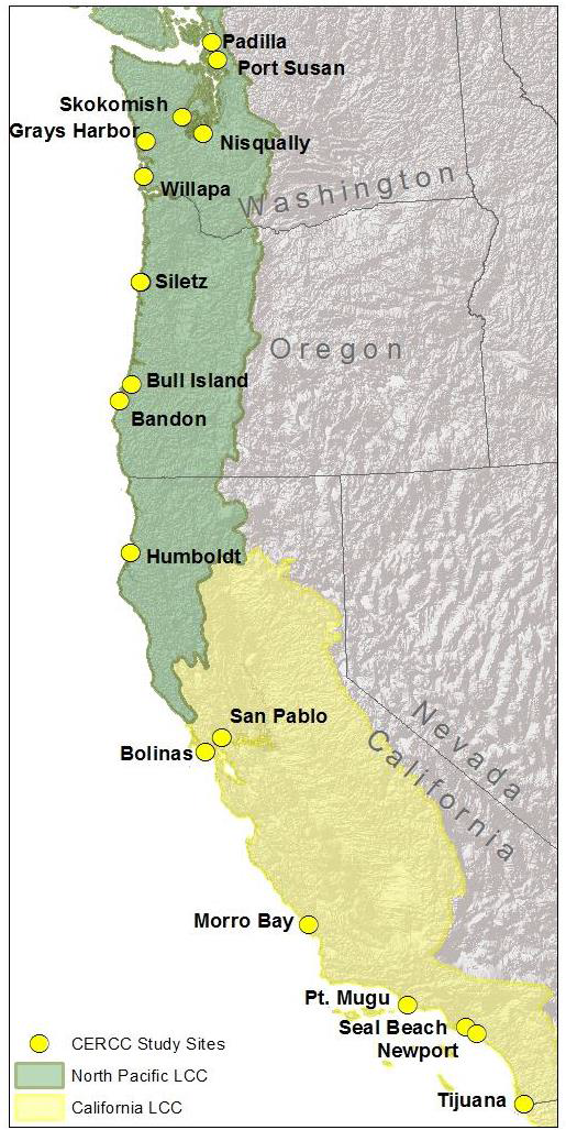 Wetland study sites (Sweetwater Marsh National Wildlife Refuge, in Chula Vista, California, not shown). Map from Thorne et al., 2016.