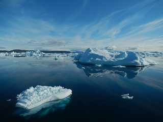 Ice floes, ice sheets and the sea « World Ocean Review