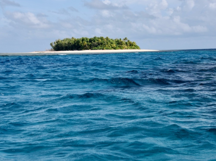 slide 4 - One of the Tuvalu island group is shown from offshore; top third of image is an island crowded with green, tropical trees; lower two thirds is deep blue ocean. 
