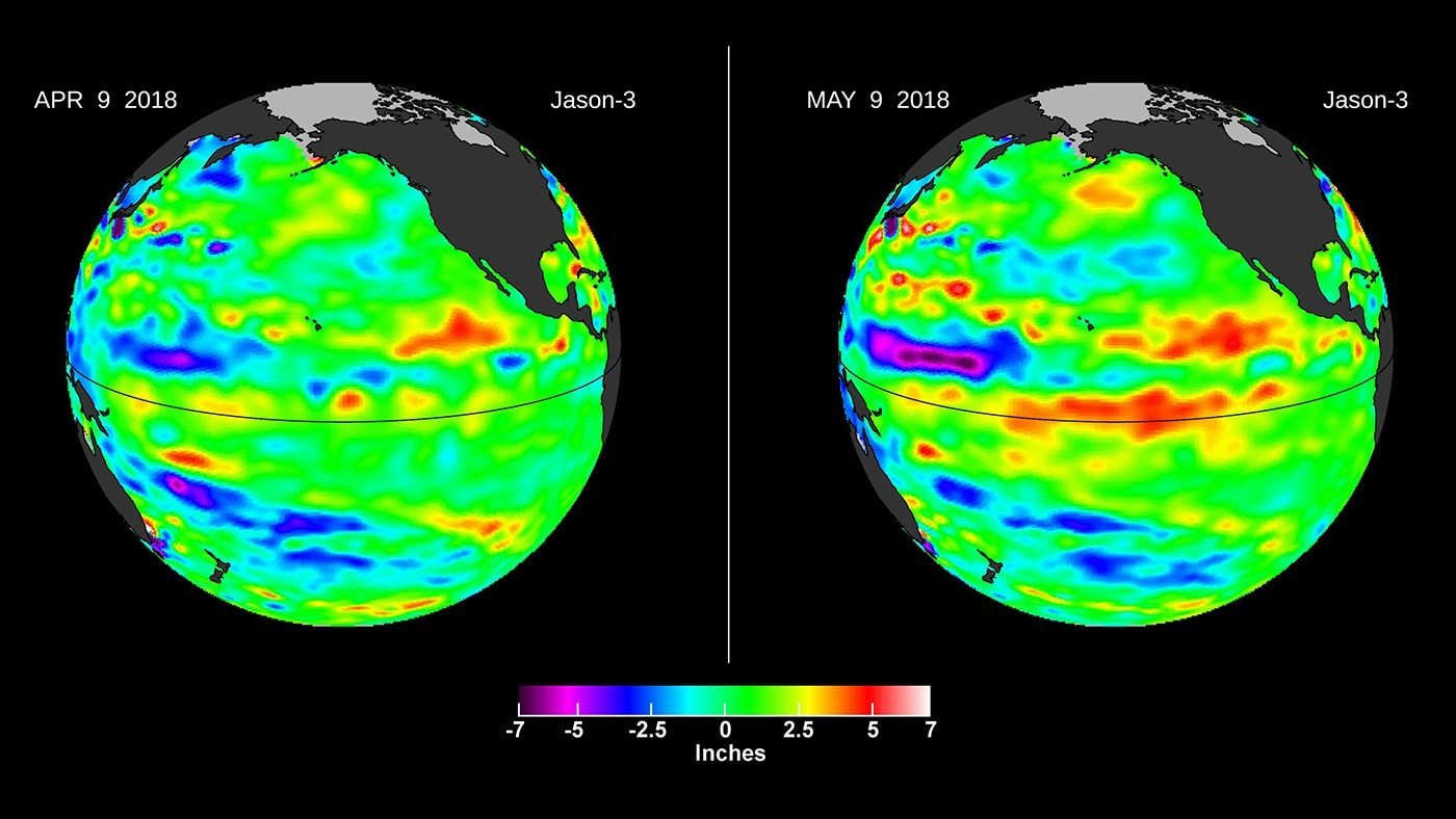 Left, in April, the Jason-3 satellite shows most of the Pacific Ocean at neutral heights (green). In May, a Kelvin wave (red) appears on the equator. Credit: NASA/JPL-Caltech
› Full image and caption