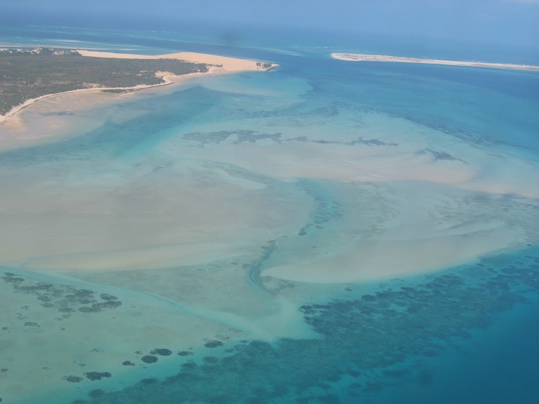 Sea grass ecosystem off Mozambique