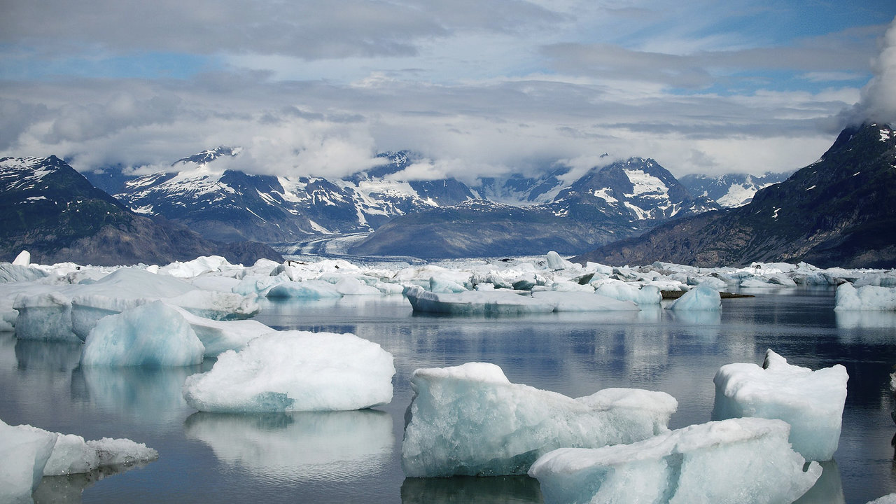 Floating icebergs that calved from the edge of the glacier fill Columbia Bay. Credit: Jon Atta.
