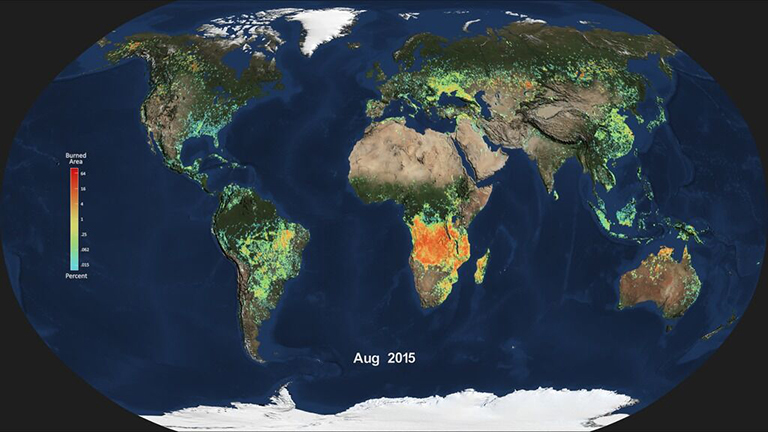 Monthly average global burned area for Aug. 2015, produced from NASA's MODIS instrument. Light blue indicates a smaller percentage of burned area, while red and orange indicate a higher percentage of burned area. Credit: NASA.